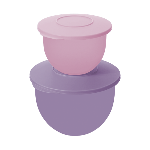 Expressions Bowl Set (1.3L & 2.5L)