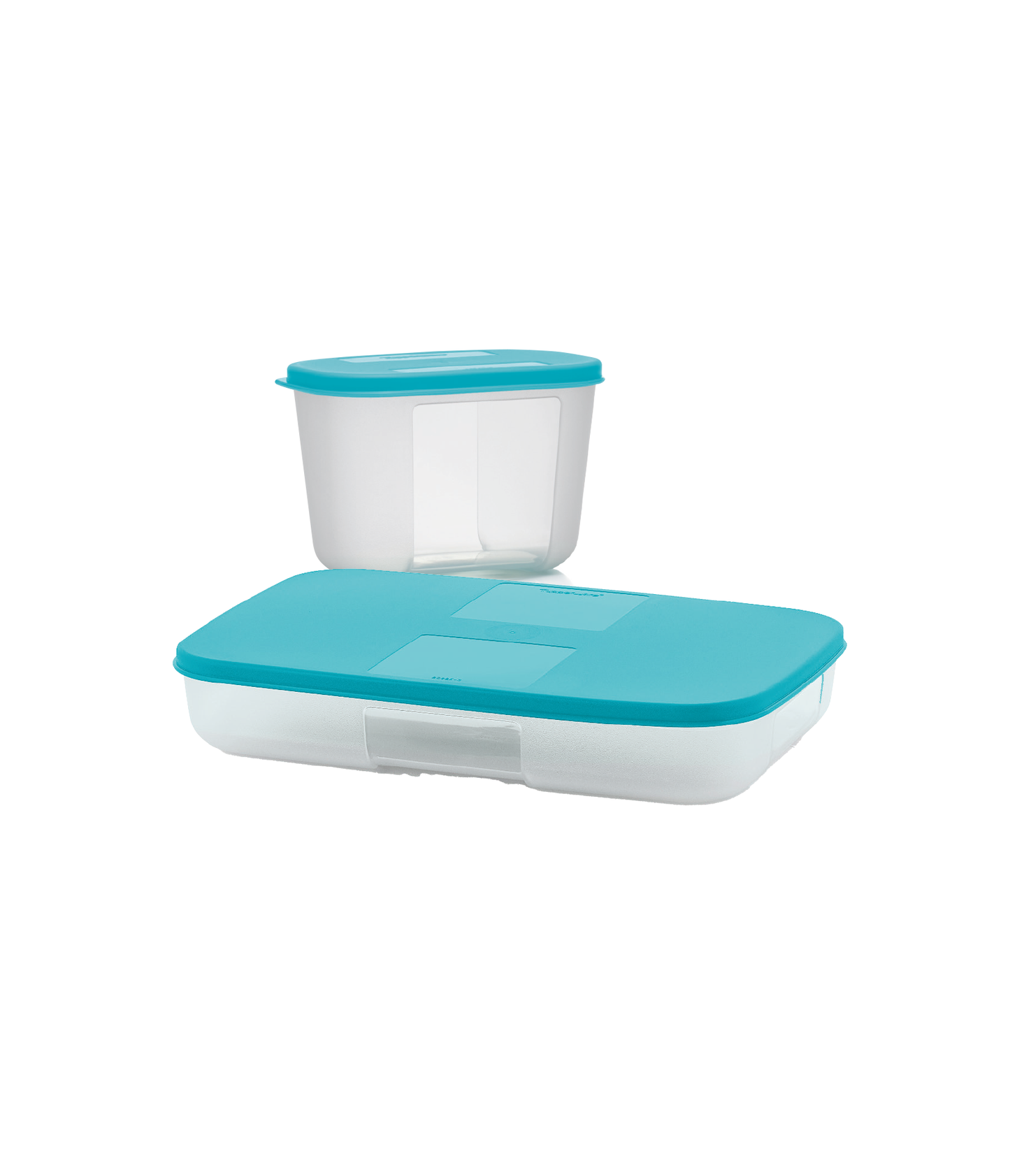 TuppAfrica Fridge Mate set with 650ml and 300ml plastic containers for food storage on a kitchen countertop