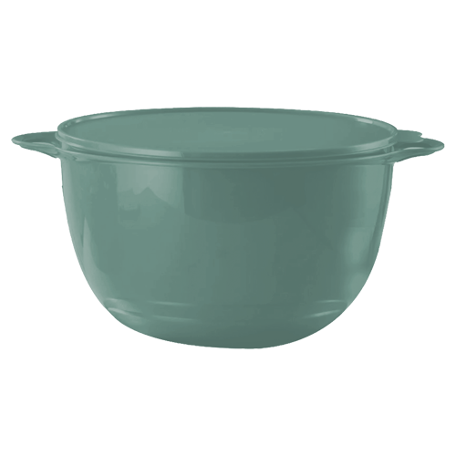 That's A Bowl (14L)