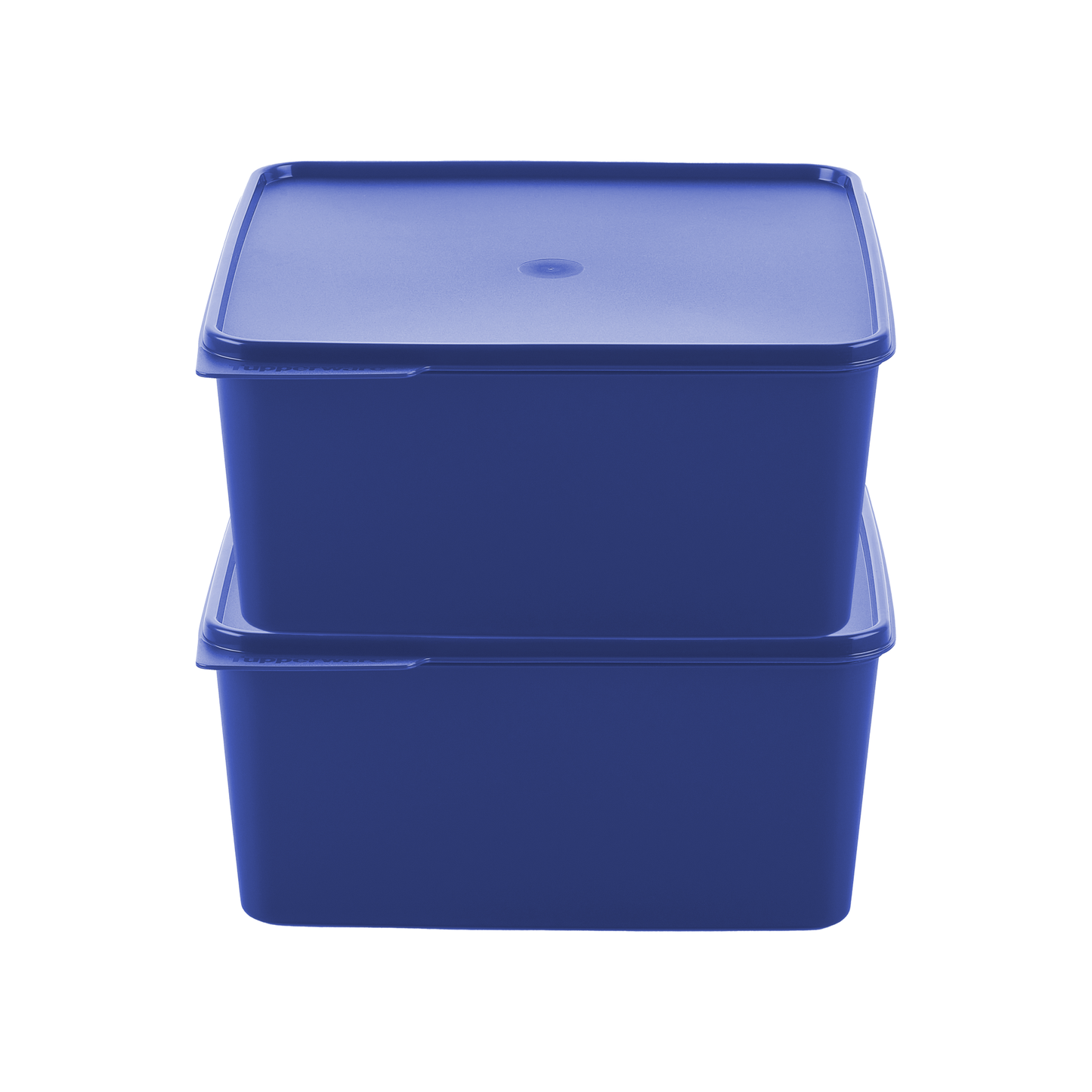 StoreSmart (2.5L) – Set of 2