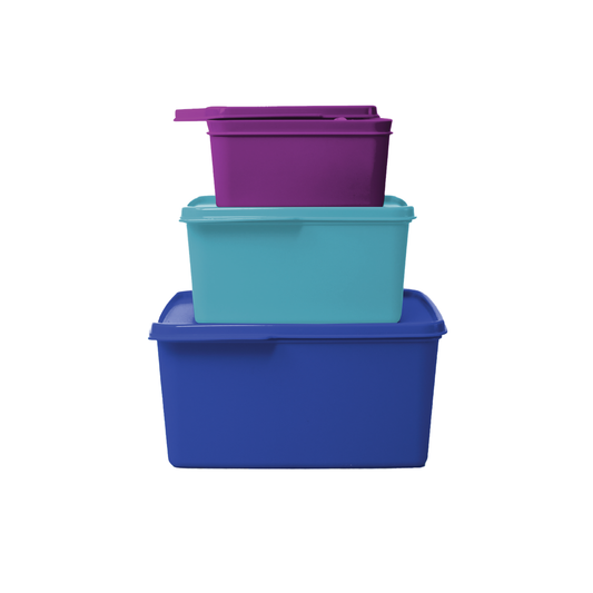 TuppAfrica StoreSmart Set of organized storage products with clear containers and labels for easy organization.